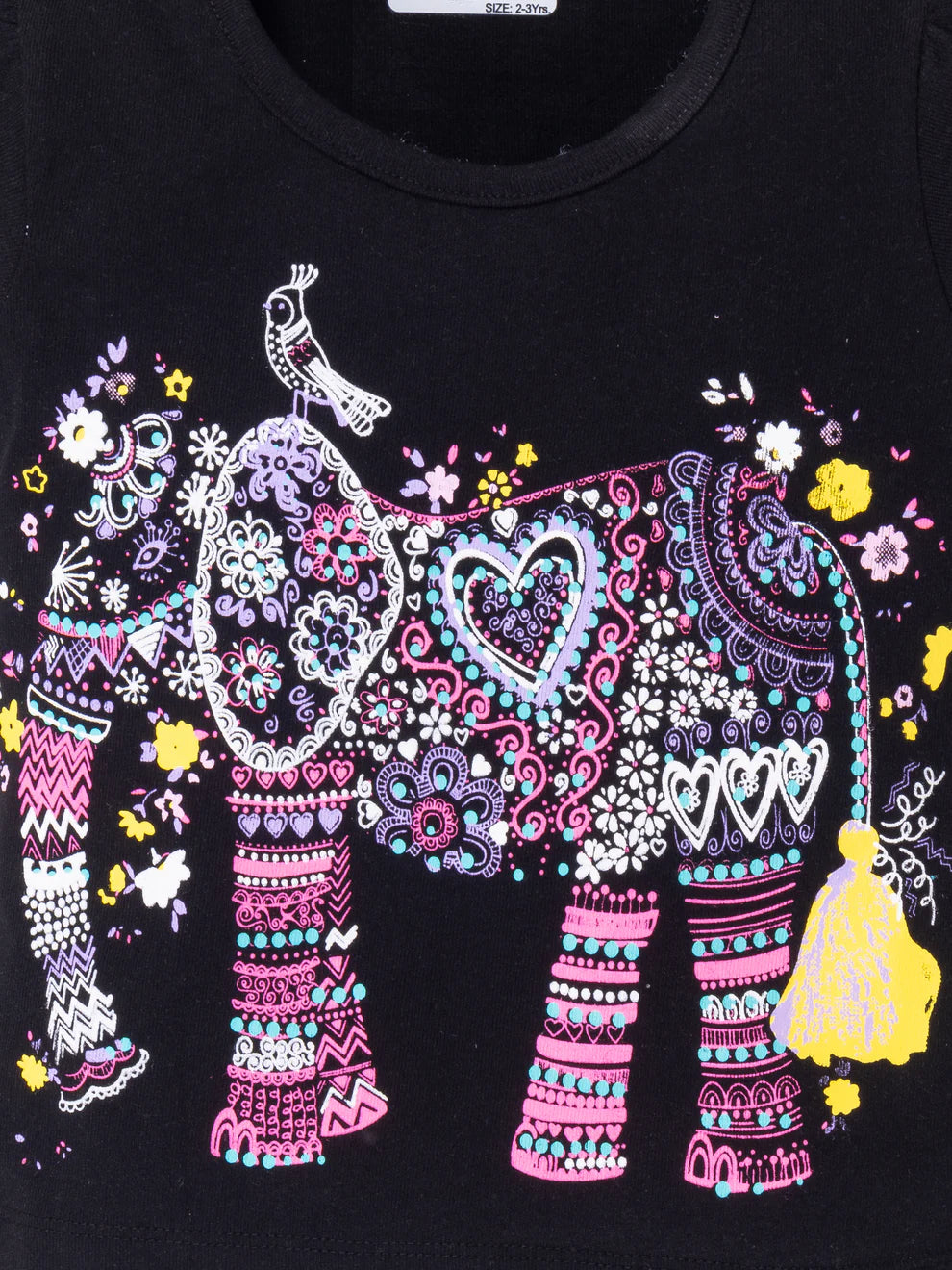 Cotton Printed Top & Short Set